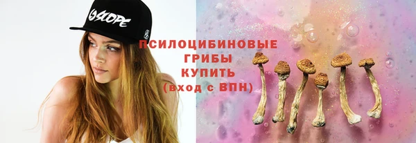 герыч Арсеньев