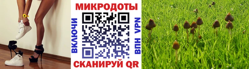 Псилоцибиновые грибы Psilocybine cubensis  Минеральные Воды 